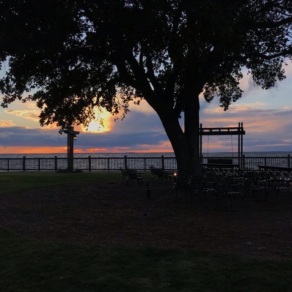 Meet your Posher, Ava - Picture 1 of 1